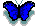 animal6.gif